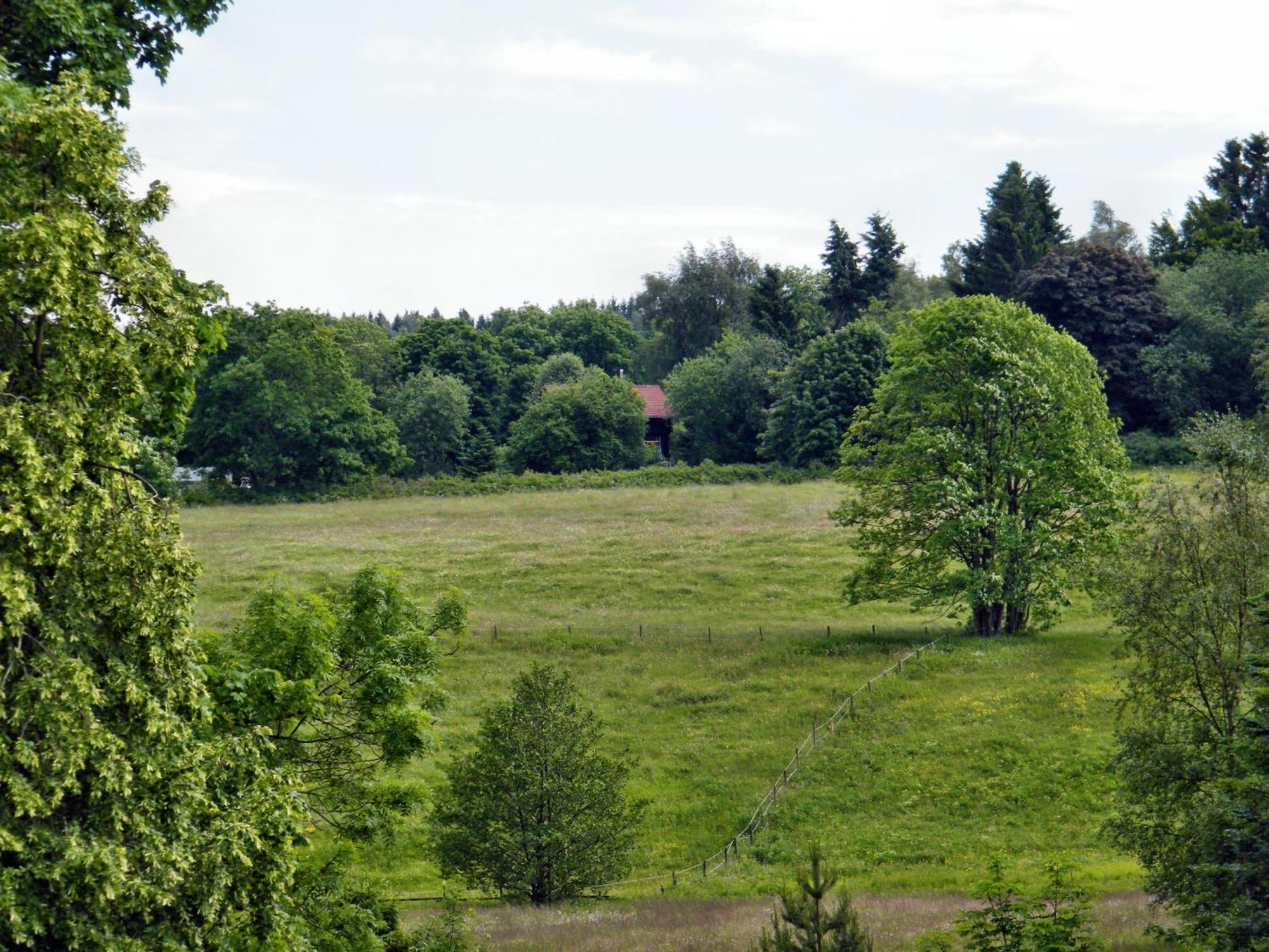 Apartments Carmen-Braunlage Buitenkant foto