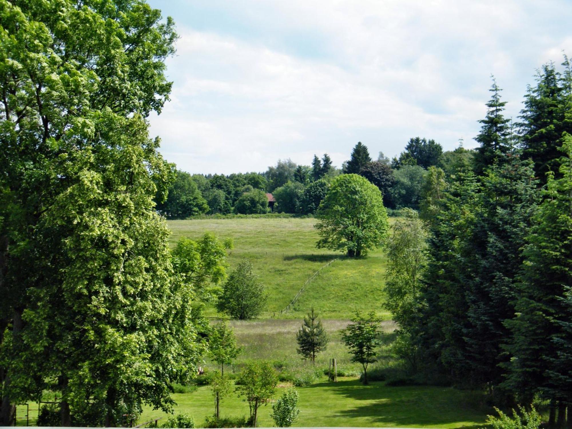 Apartments Carmen-Braunlage Buitenkant foto